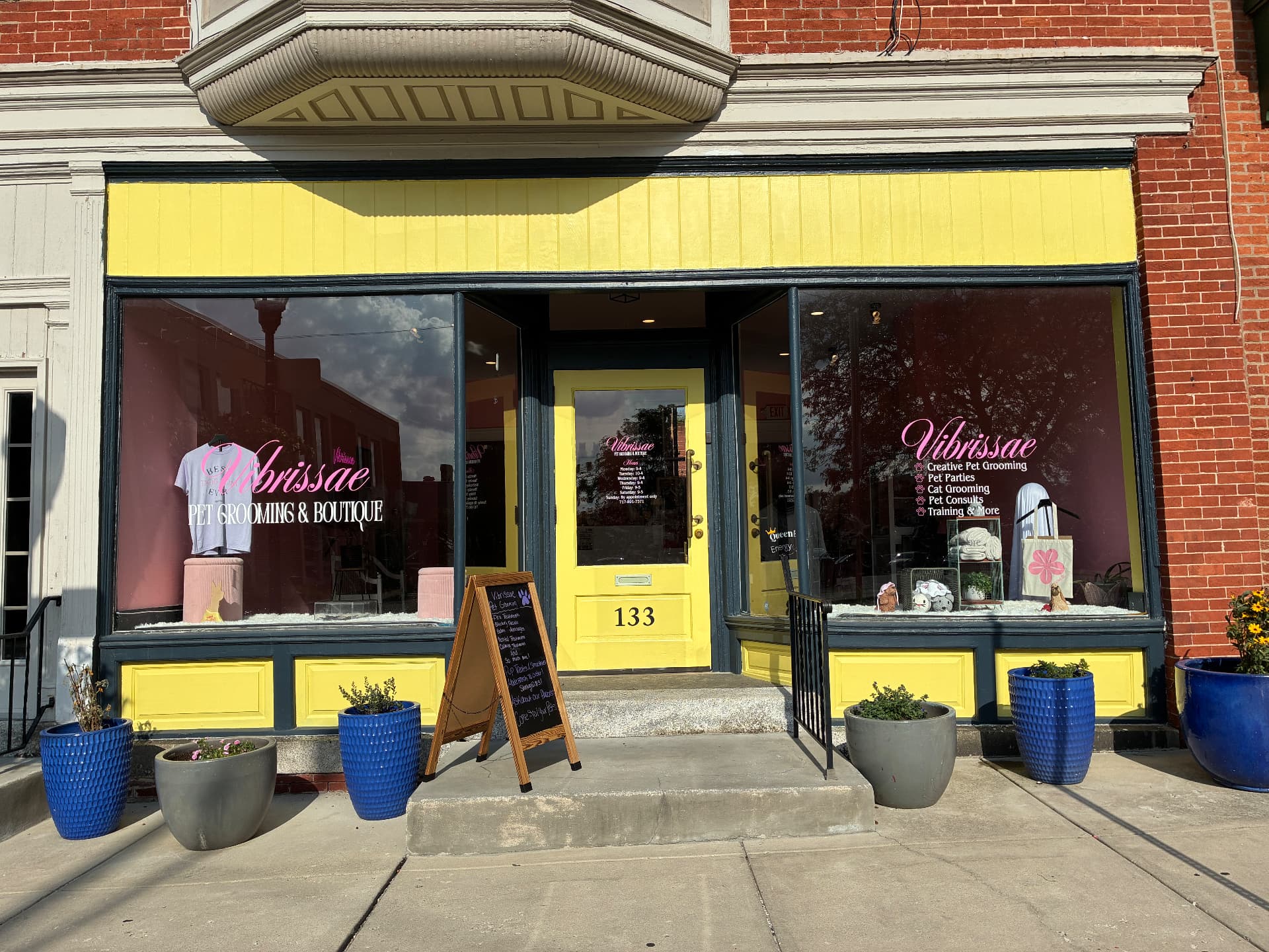 Vibrissae salon storefront at 133 S Duke St, York PA