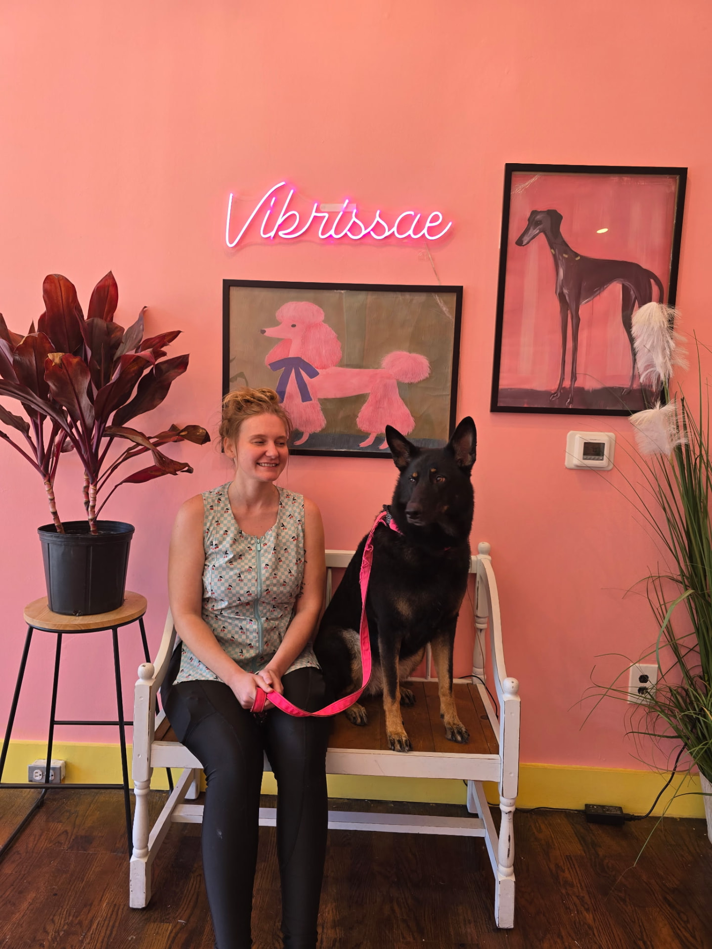 Autumn, Pet Stylist at Vibrissae