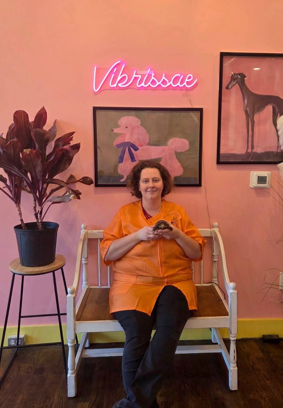 Beck, Pet Trainer at Vibrissae