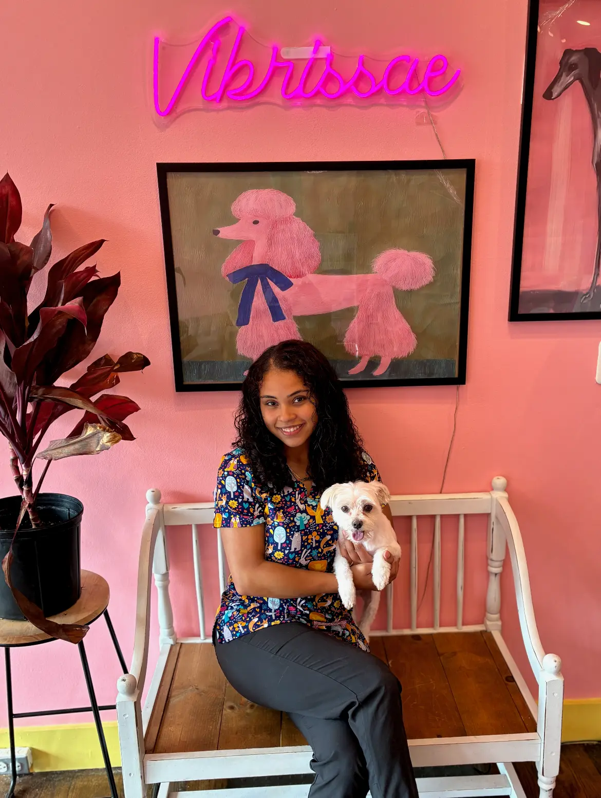 Kalyssa, Pet Stylist | Director of Operations at Vibrissae